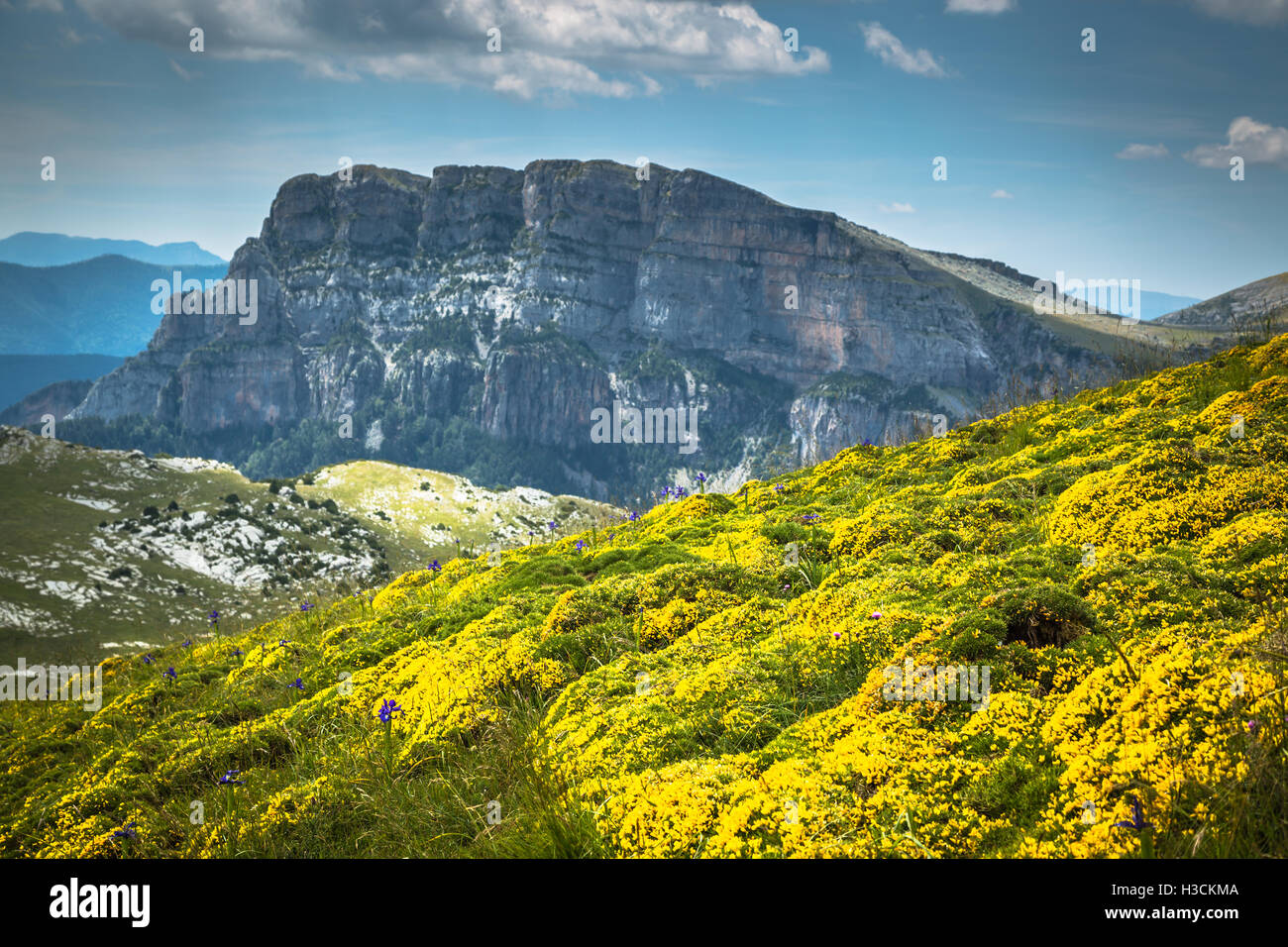 Pyrenäen-Landschaft - Anisclo Canyon im Sommer. Huesca, Spanien Stockfoto