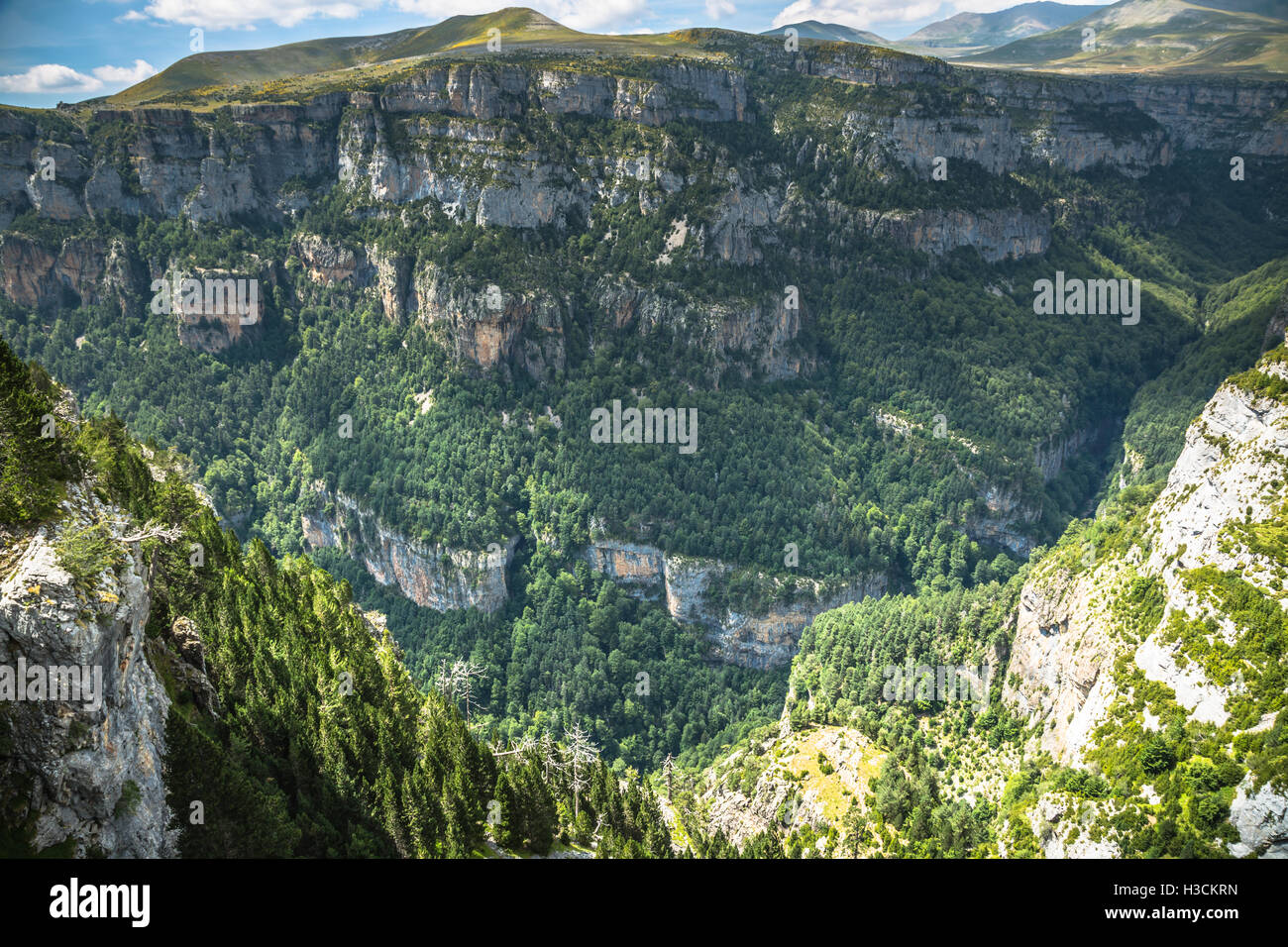 Pyrenäen-Landschaft - Anisclo Canyon im Sommer. Huesca, Spanien Stockfoto