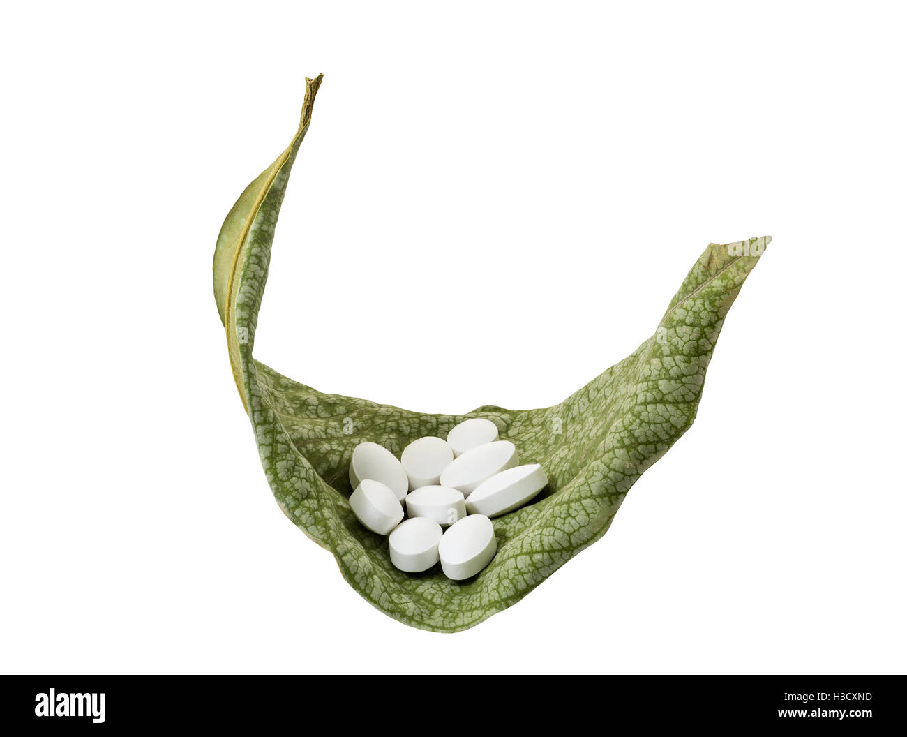 Weiße Pillen auf frischen grünen Blätter, Drogen und Natur-Konzept Stockfoto