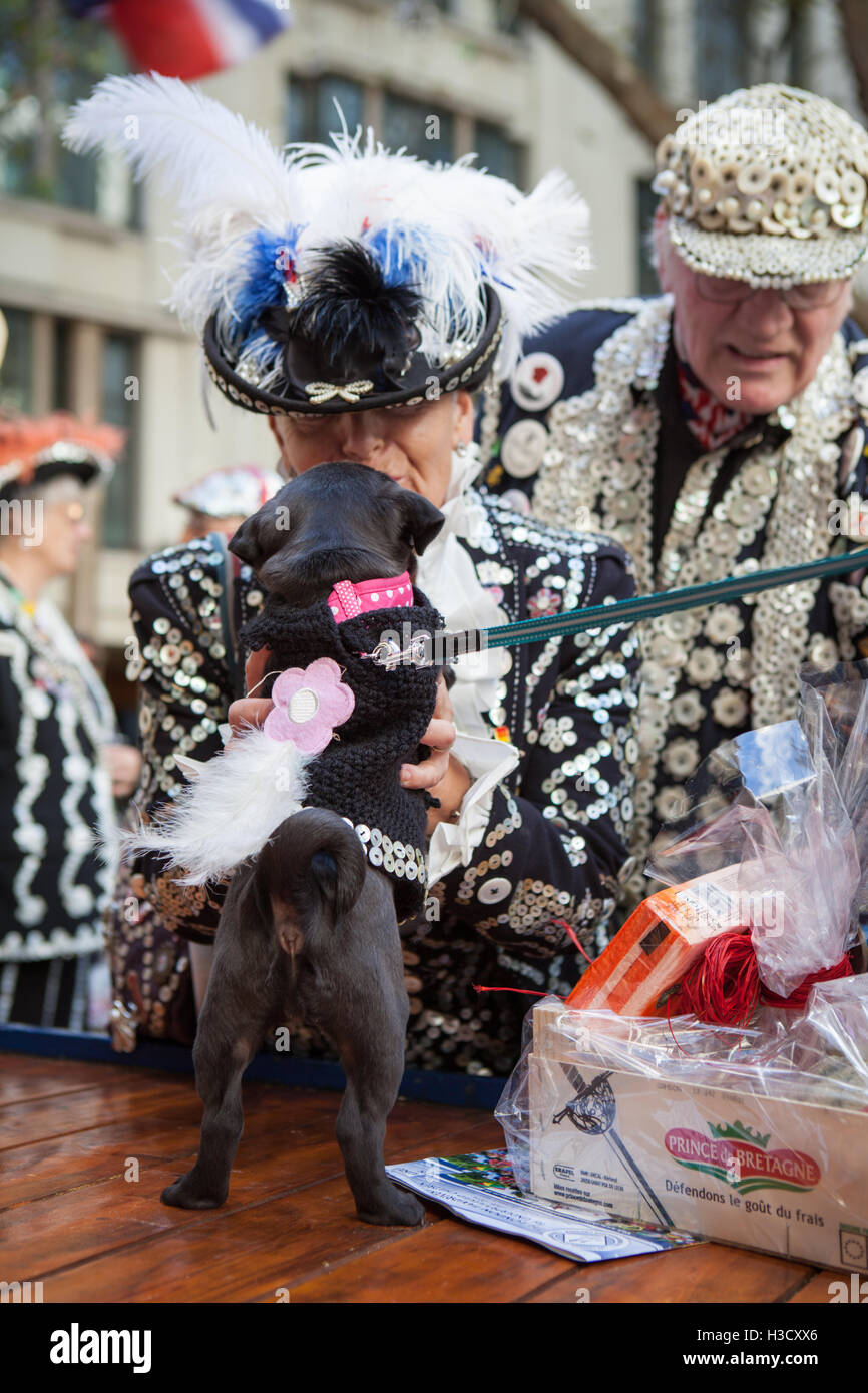 Die jährliche Pearly Kings und Queens & costermonger Erntefest Held in der Guildhall, London, UK Stockfoto Die jährliche Pearly Kings und Queens & costermonger Erntefest Held in der Guildhall, London, UK Stockfoto