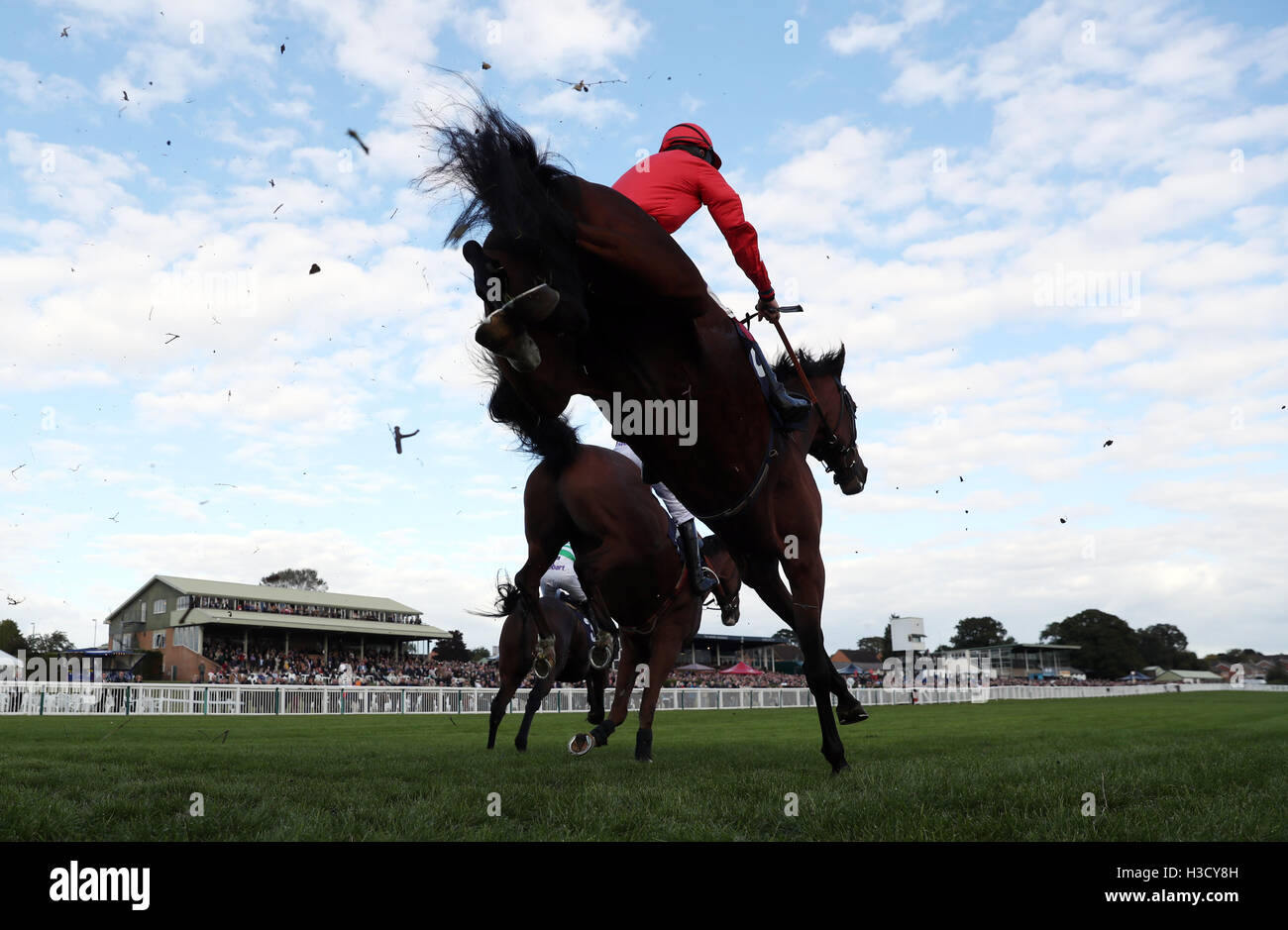 Regnerische Stadt geritten von Sam Twiston-Davies nimmt einen Sprung in die bet365-Anfänger Chase bei Bet365 Eröffnung Raceday Hereford Racecourse. Stockfoto