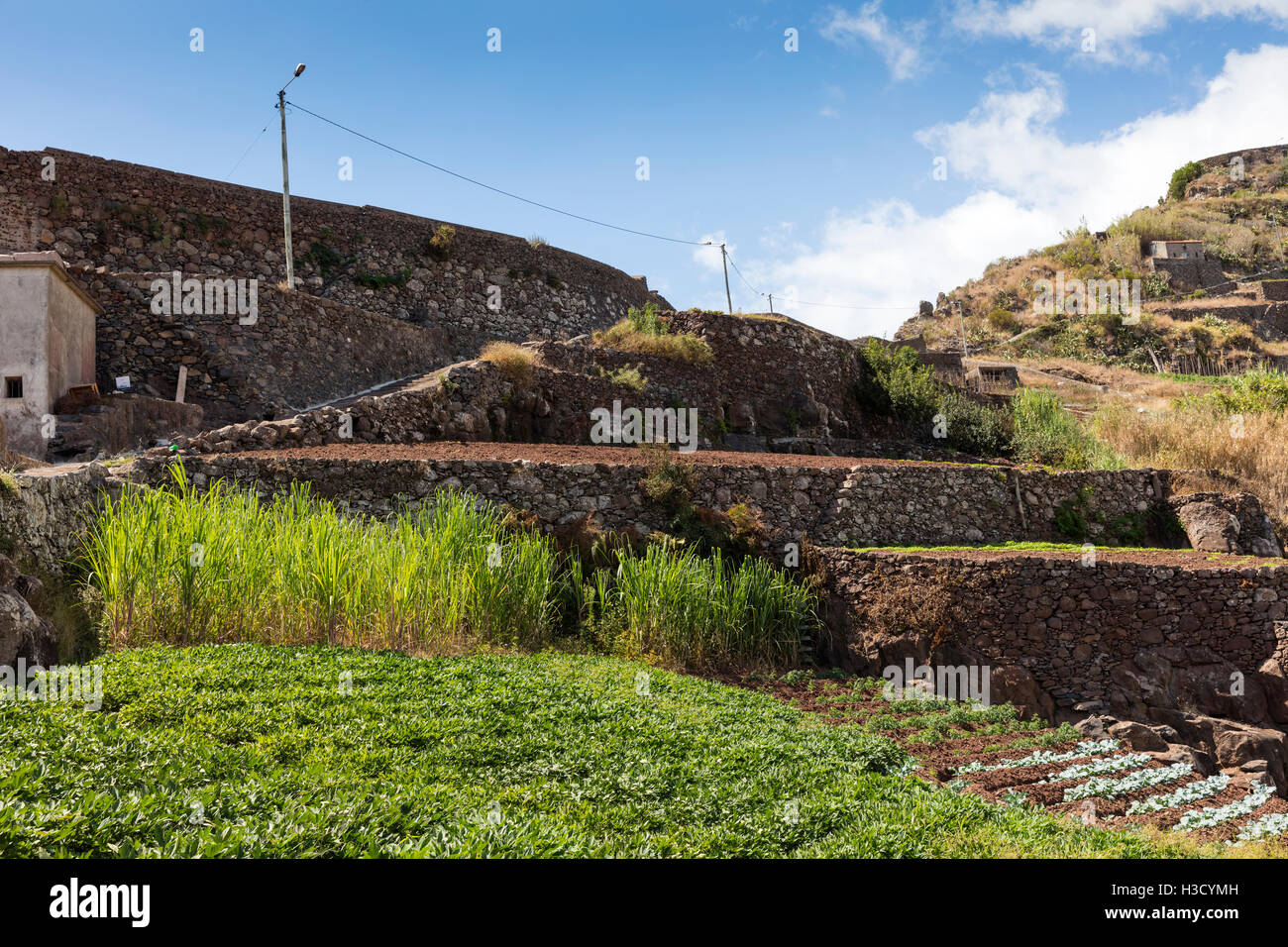 Landwirtschaft und Landschaften auf der Insel Madeira. Blick auf die terrassenförmig angelegten und gepflegten Land. Stockfoto