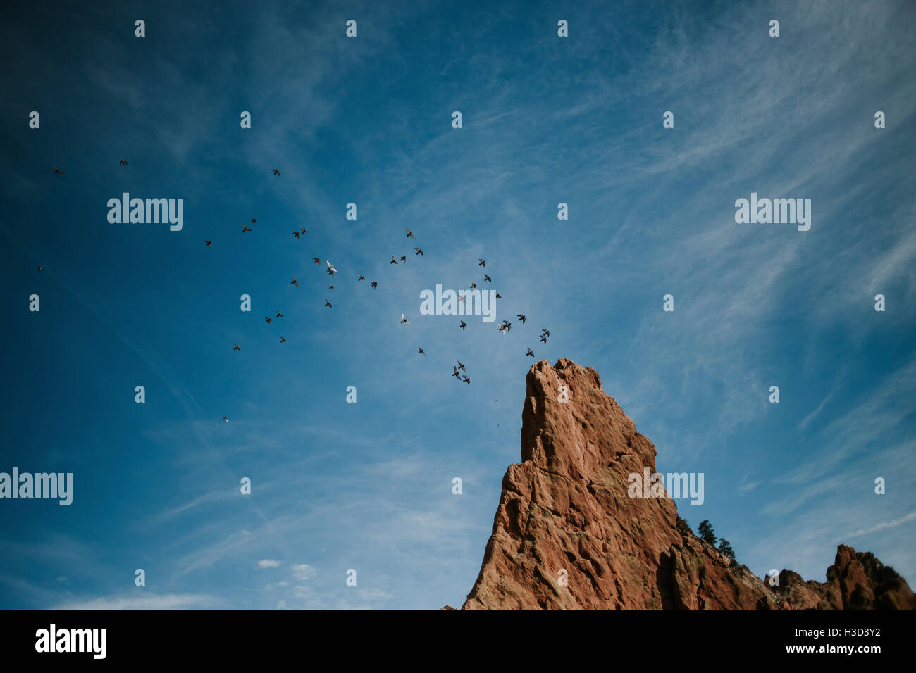 Niedrigen Winkel Ansicht der Vögel fliegen im blauen Himmel Stockfoto