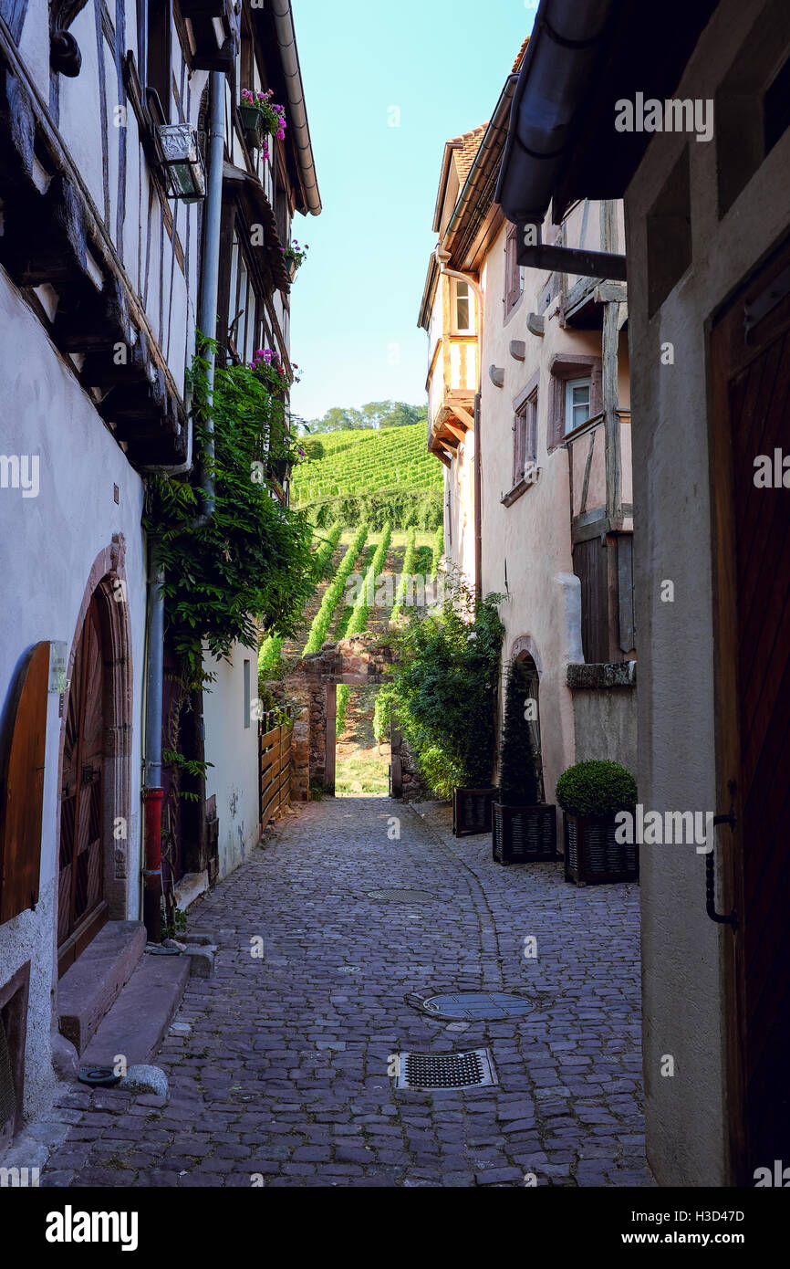 Eine kleinen Seitenstraße von Riquewihr, Frankreich zeigt einen Blick auf die Weinberge, die die Stadt umgeben. Stockfoto