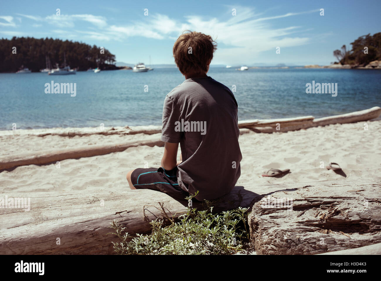Rückansicht der Mann sitzt auf Holz am Strand gegen die Strait Of Georgia Stockfoto