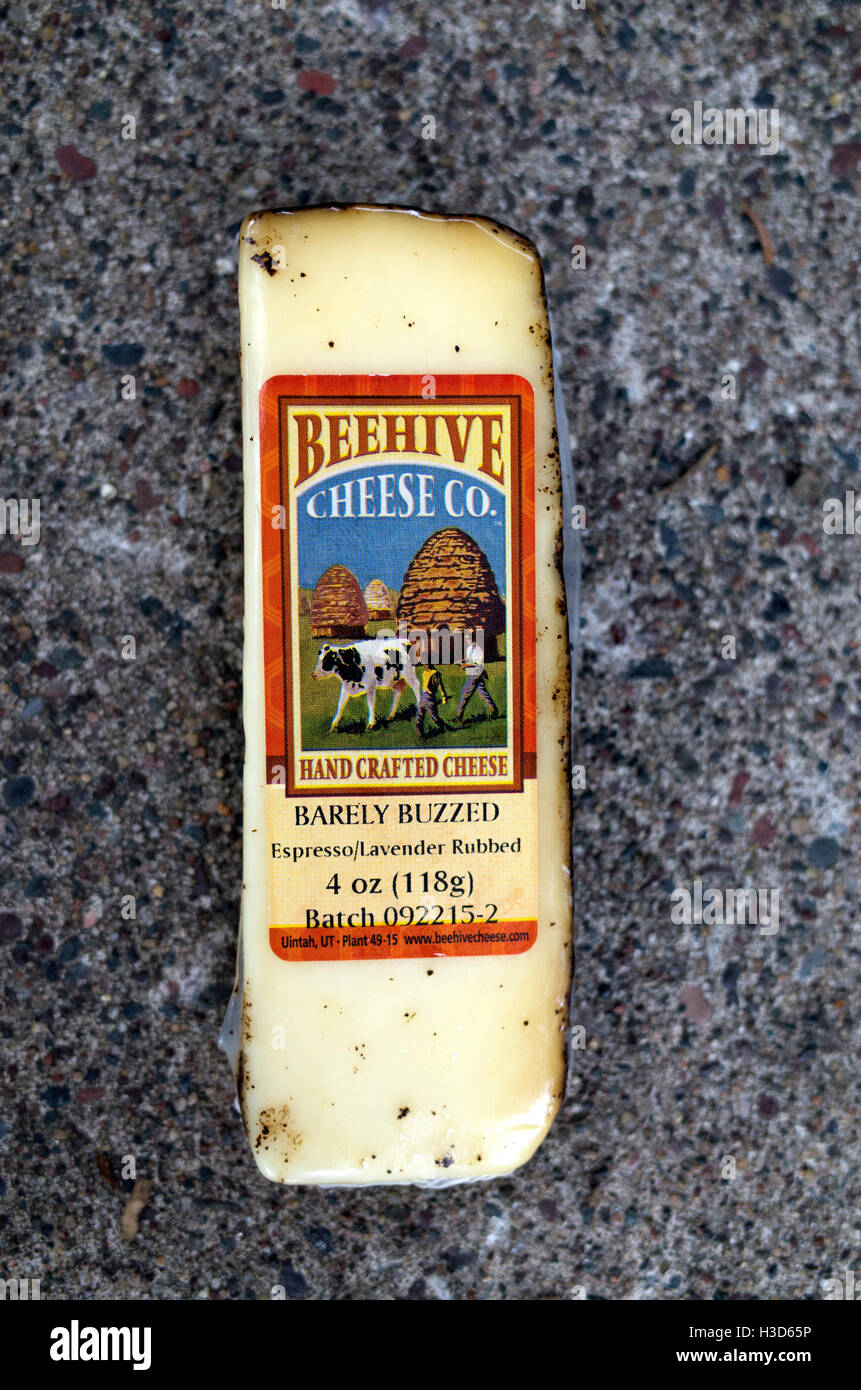 Ziegel von Bienenstock kaum summte Käse, Espresso und Lavendel eingerieben. St Paul Minnesota MN USA Stockfoto