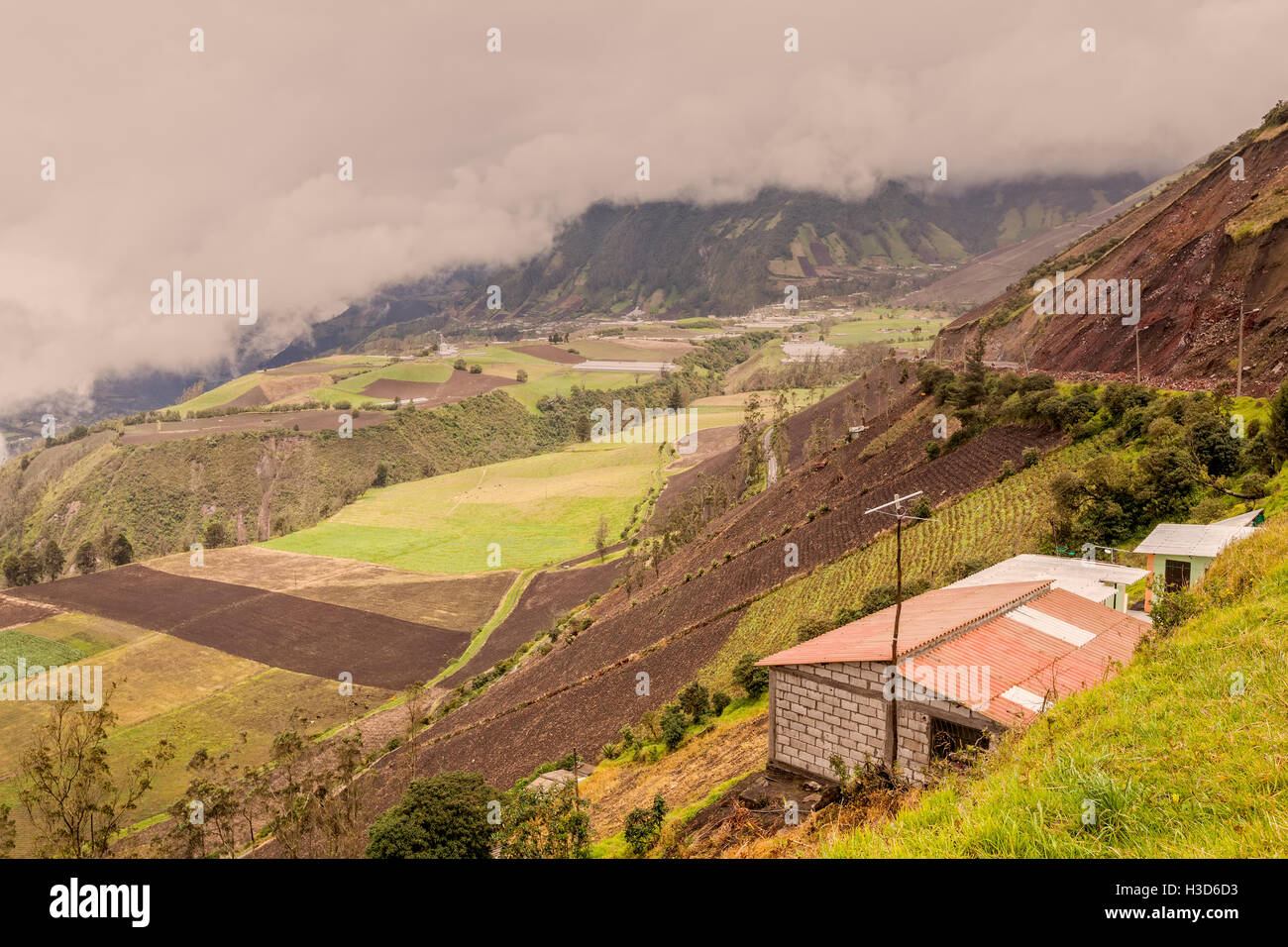 Landwirte In den Gipfeln der Anden Kordilleren, Ecuador, Südamerika Stockfoto