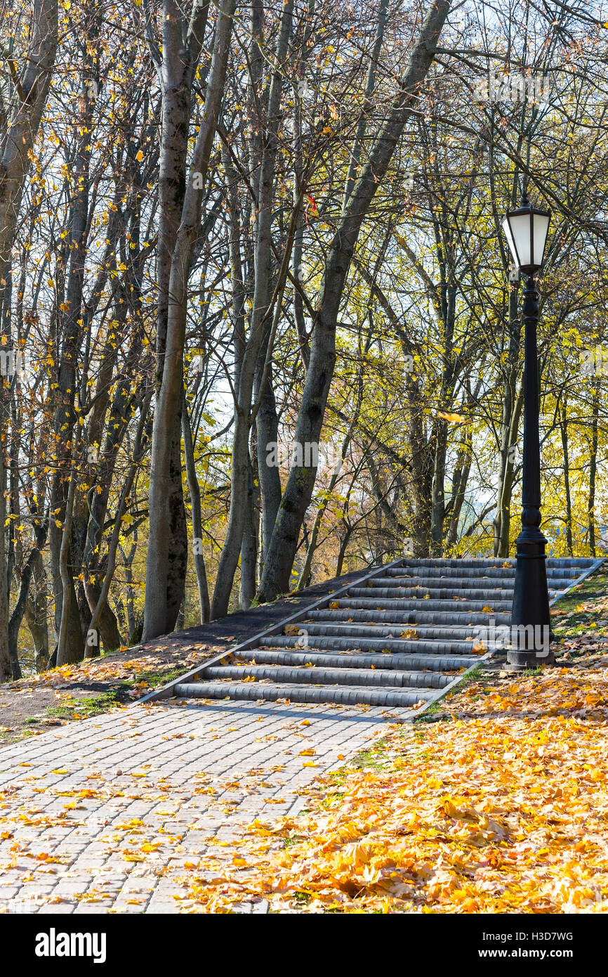 Stein Weg und Treppen mit Laterne und gelbe Laub Stockfoto