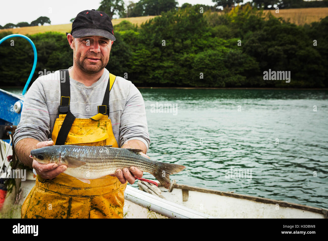 Ein Fischer in Watvögel auf einem Steg hält sich einen fangfrischen Fisch. Stockfoto