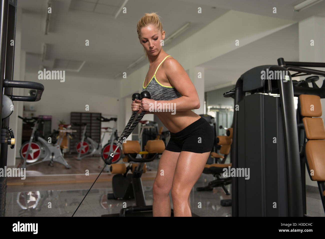 Junge gesunde Fitness Frau schwere Übung für Bizeps Maschine In der Turnhalle Stockfoto