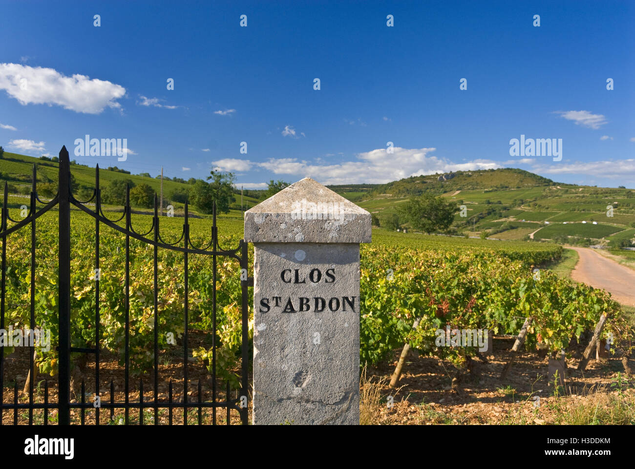 Clos st abdon chassagne montrachet -Fotos und -Bildmaterial in hoher