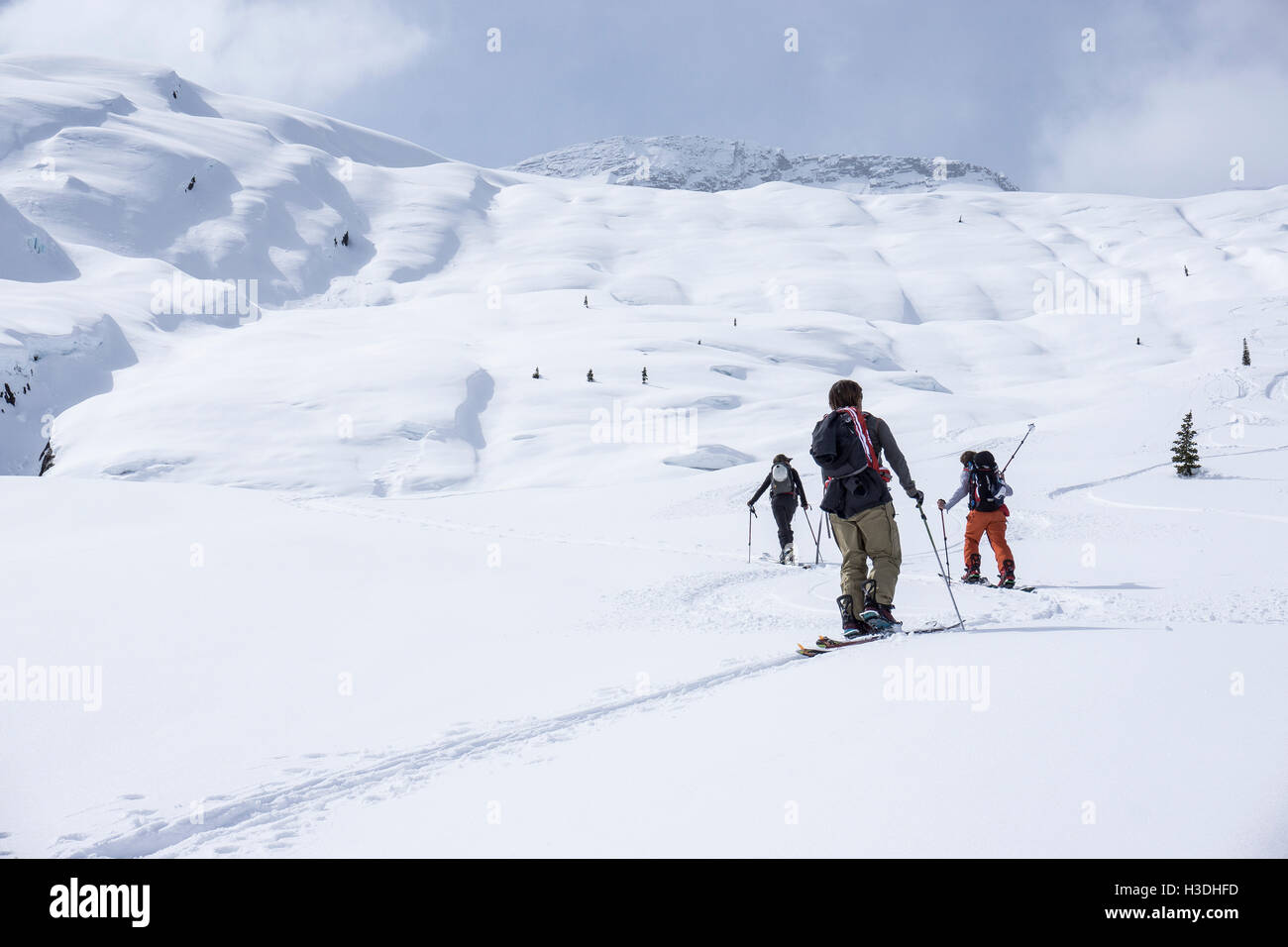 Snowboard Touren im kanadischen backcountry Stockfoto