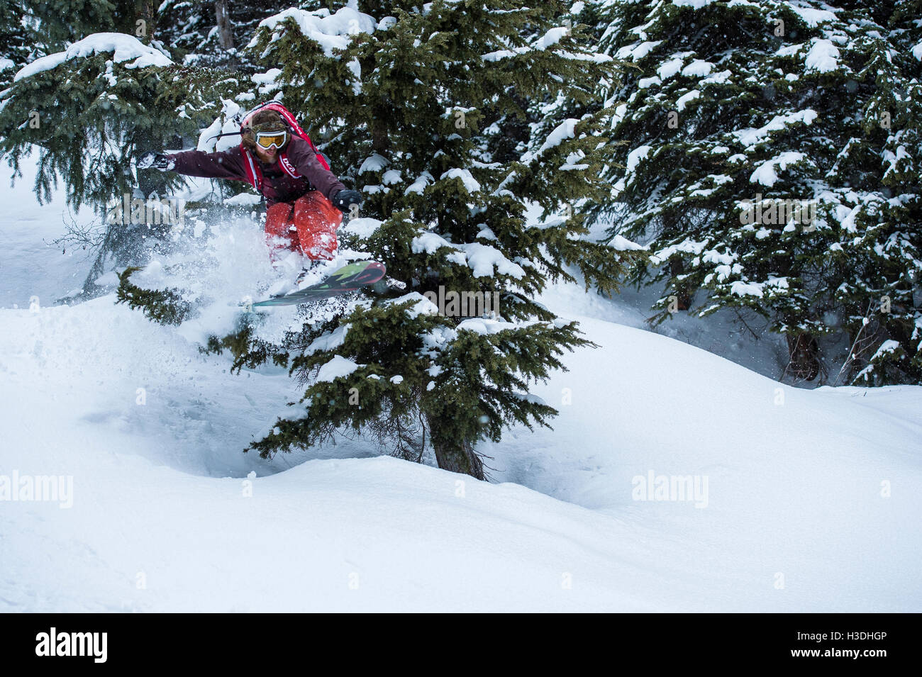 Snowboarder springen durch einen Baum im backcountry Stockfoto
