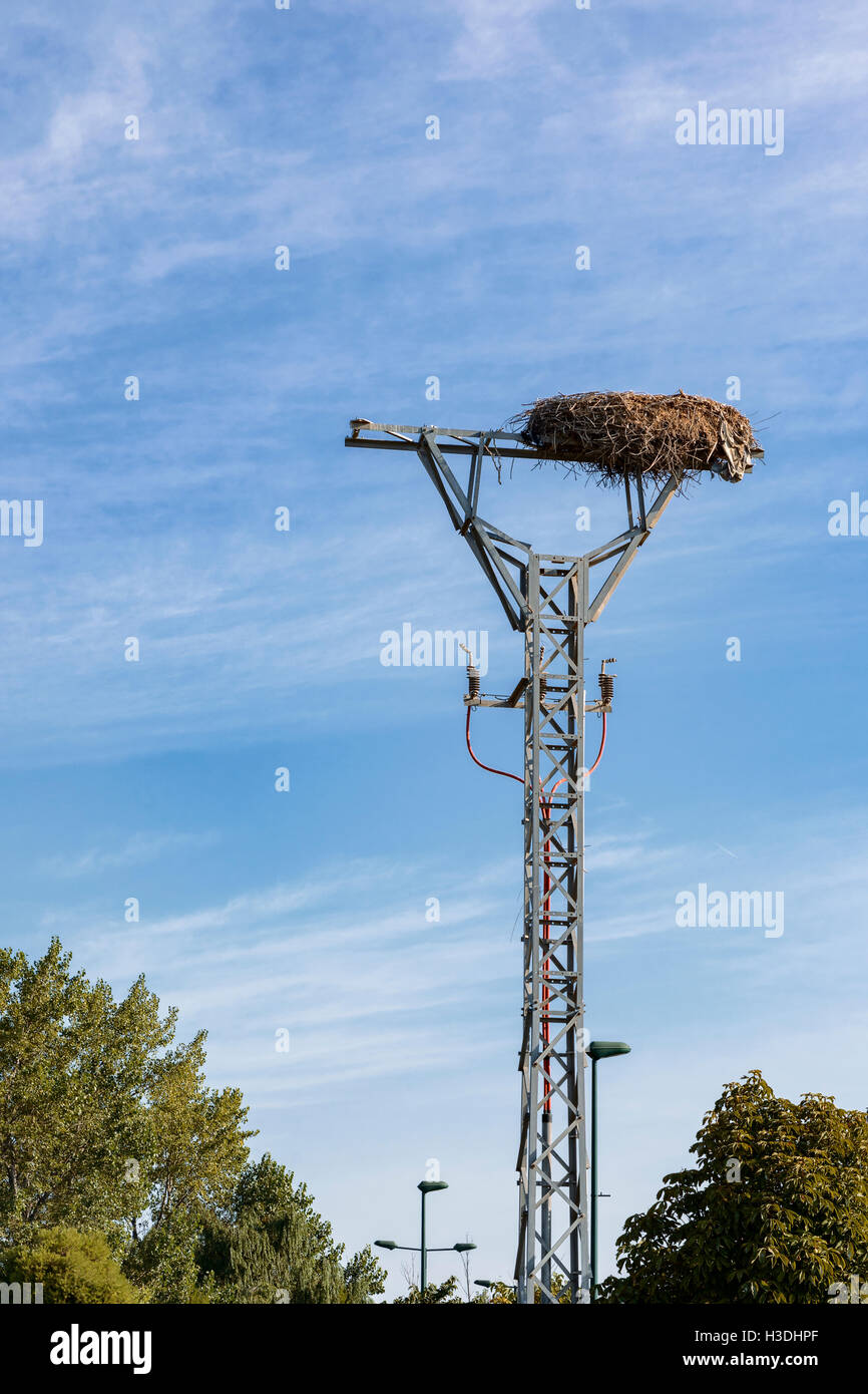 Storchennest auf elektrische Turm Ejea de Los Caballeros, Zaragoza, Aragon, Spanien, Europa. Stockfoto