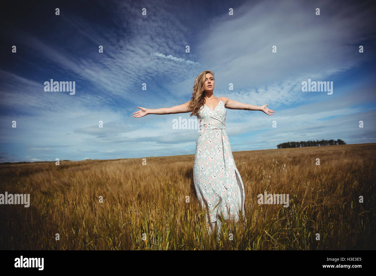 Frau mit ausgestreckten im Weizenfeld Stockfoto