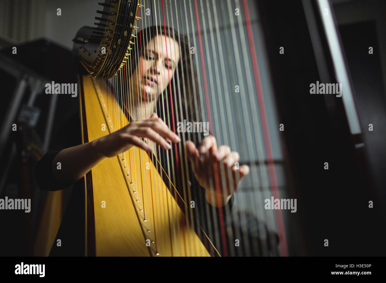 Frau spielt eine Harfe in der Musikschule Stockfoto