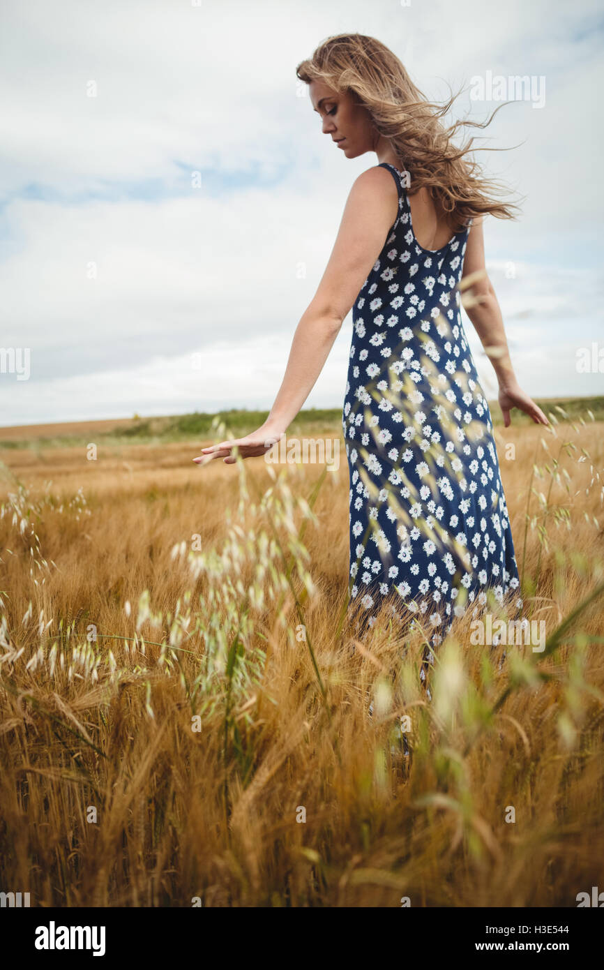 Frau berühren Weizen im Feld Stockfoto