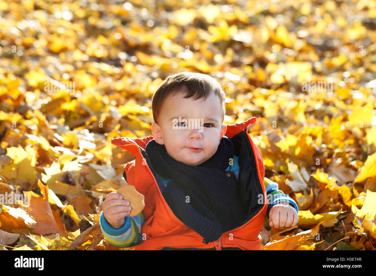 niedliche kleine Junge Outdoor-Herbst Porträt, warme Stimmung des Bildes Stockfoto