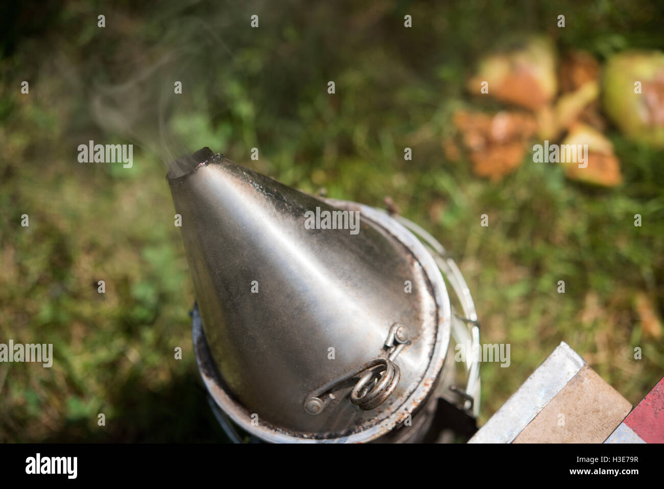 Biene Raucher im Bienenhaus Garten Stockfoto