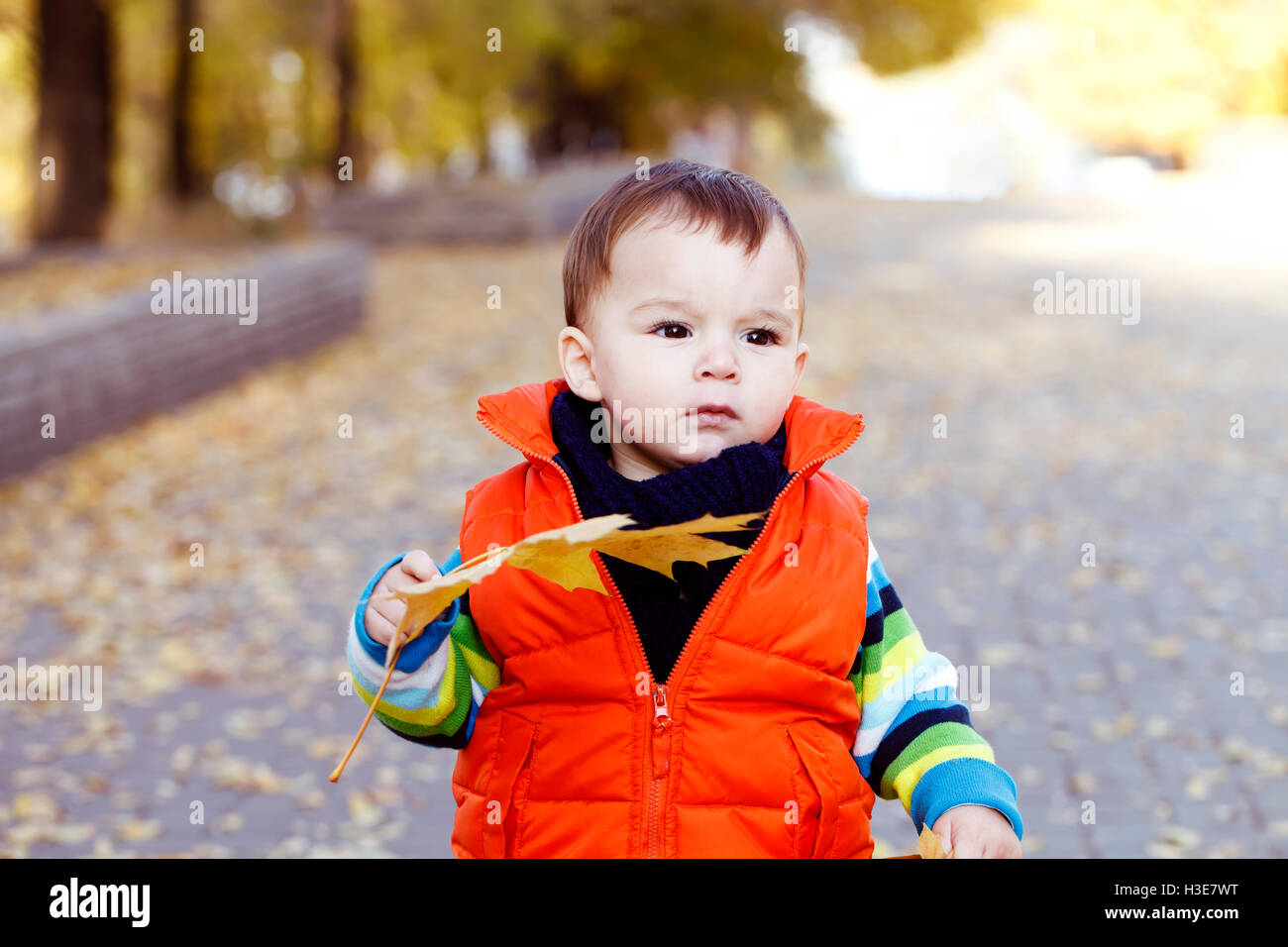 niedliche kleine Junge Outdoor-Herbst Porträt, warme Stimmung des Bildes Stockfoto