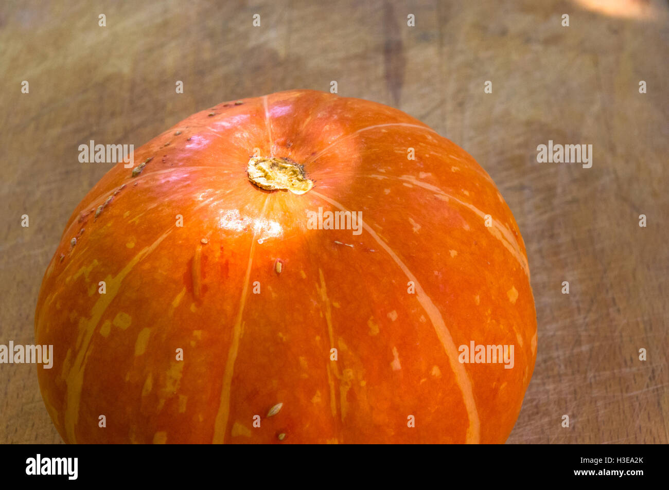 Hintergrund für Halloween Feiertag - dekorative Orange Kürbis auf alten hölzernen Hintergrund Stockfoto