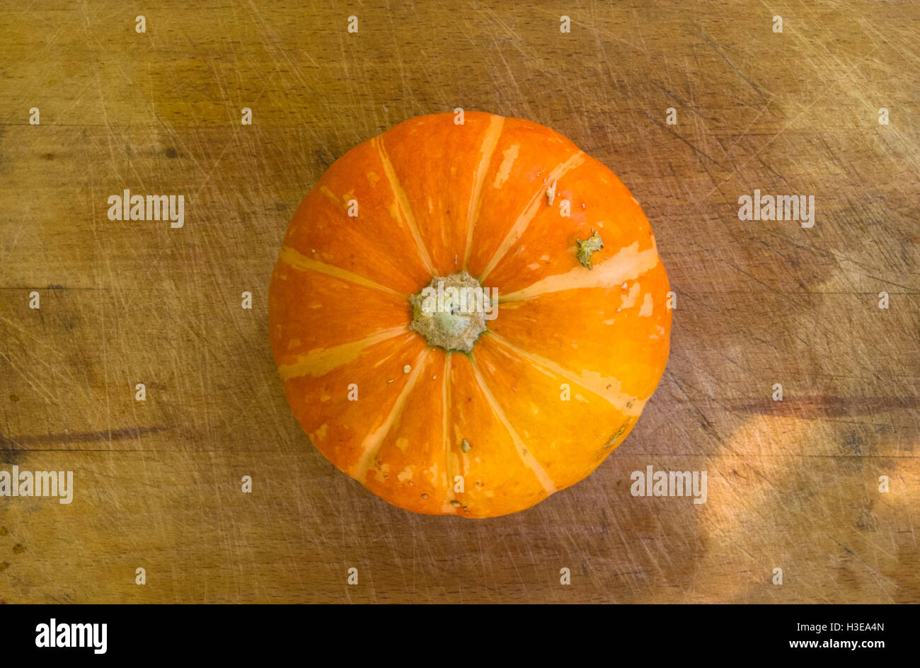 Hintergrund für Halloween Feiertag - dekorative Orange Kürbis auf alten hölzernen Hintergrund Stockfoto