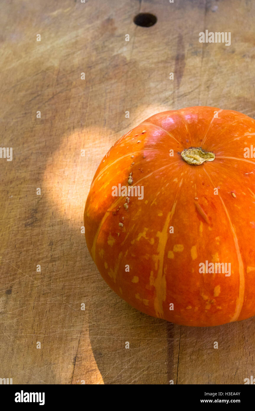 Hintergrund für Halloween Feiertag - dekorative Orange Kürbis auf alten hölzernen Hintergrund Stockfoto
