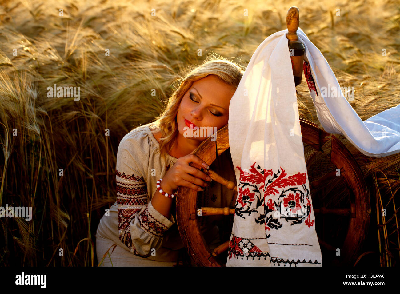 eine schöne junge Ukrainerin in traditioneller Tracht mit bestickt Stockfoto