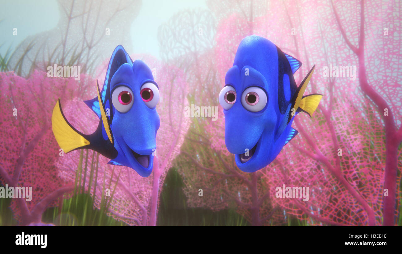 Veröffentlichungsdatum: 17. Juni 2016 Titel: Suche nach Dory STUDIO: Pixar Animation DIRECTOR: Andrew Stanton, Angus MacLane Grundstück: freundlich aber vergesslich blue Tang Fisch vereint mit ihren lieben und jeder lernt ein paar Dinge über die wahre Bedeutung der Familie entlang der Weise Darsteller: Ellen DeGeneres, Albert Brooks, Ed O'Neill (Credit: C Pixar/Unterhaltung Bilder / Stockfoto