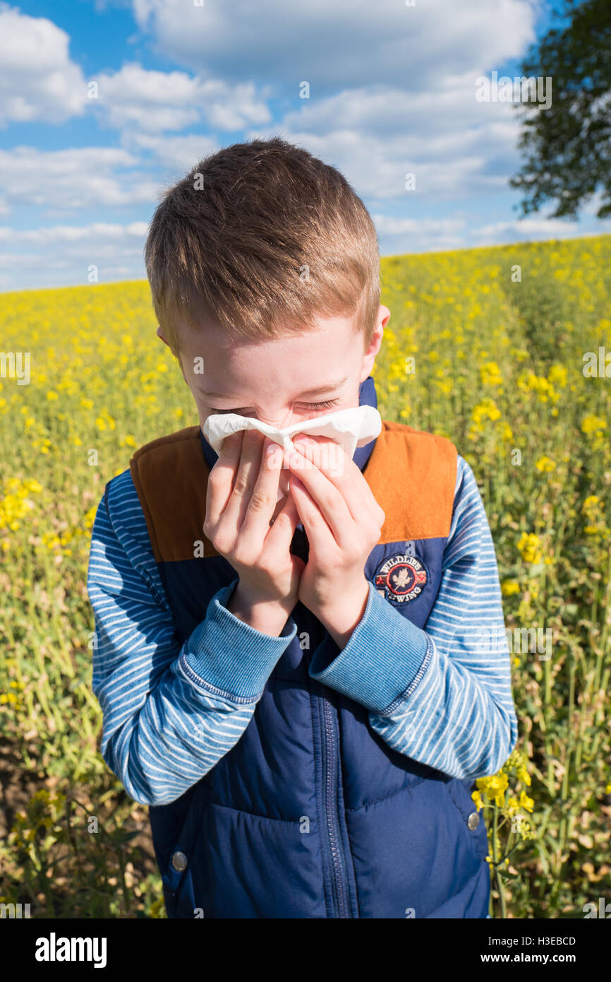 Kleiner Junge in gelben Raps Feld seine Nase weht und Pollenallergie leiden. Stockfoto