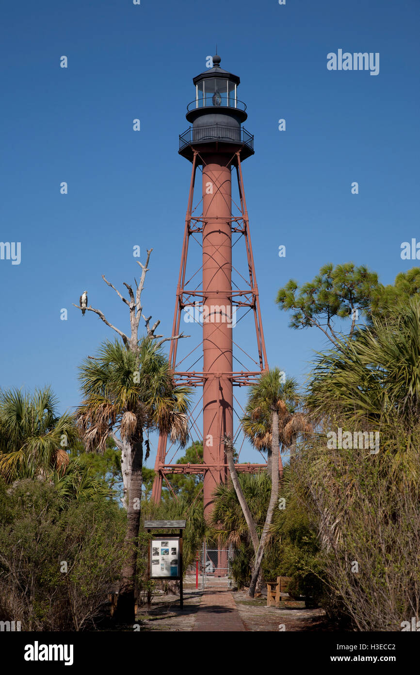 Anclote Licht mit Park Informationen Signage steht vor einem blauen Himmel, während ein Fischadler auf einem getrockneten Ast blickt auf. Stockfoto