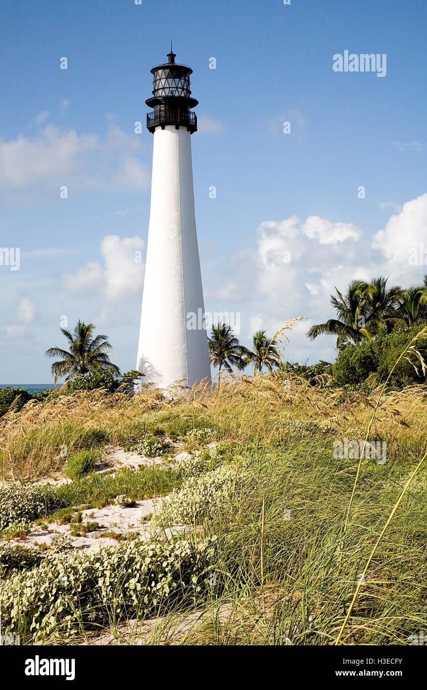 Cape Florida Light mit Blick auf die Biscayne Kanal inmitten einer Kaskade von Sehafer an einem brillanten sonnigen Morgen in Florida. Stockfoto