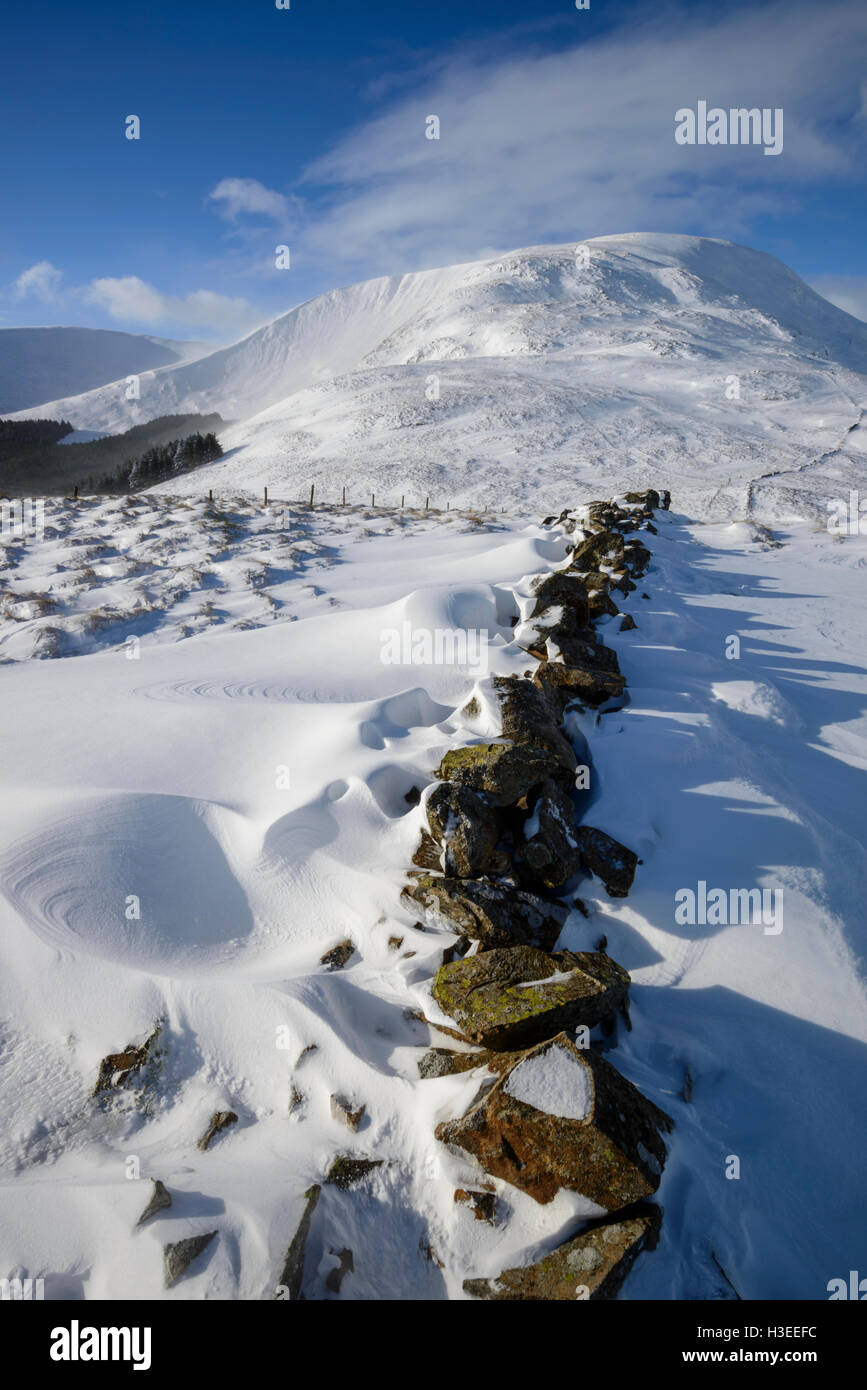 Weiße Coomb (ein Corbett) im Winterschnee, Grey Mare Tail Nature Reserve, in der Nähe von Moffat, Dumfries & Galloway, Schottland. Stockfoto