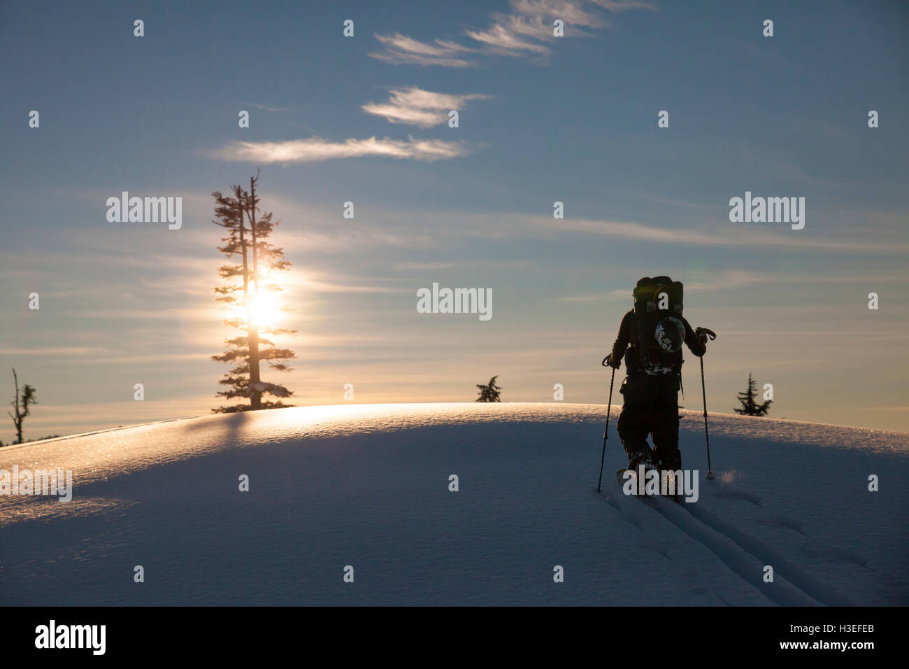 Skitouren im Garibaldi Provincial Park, Britisch-Kolumbien, Kanada. Stockfoto