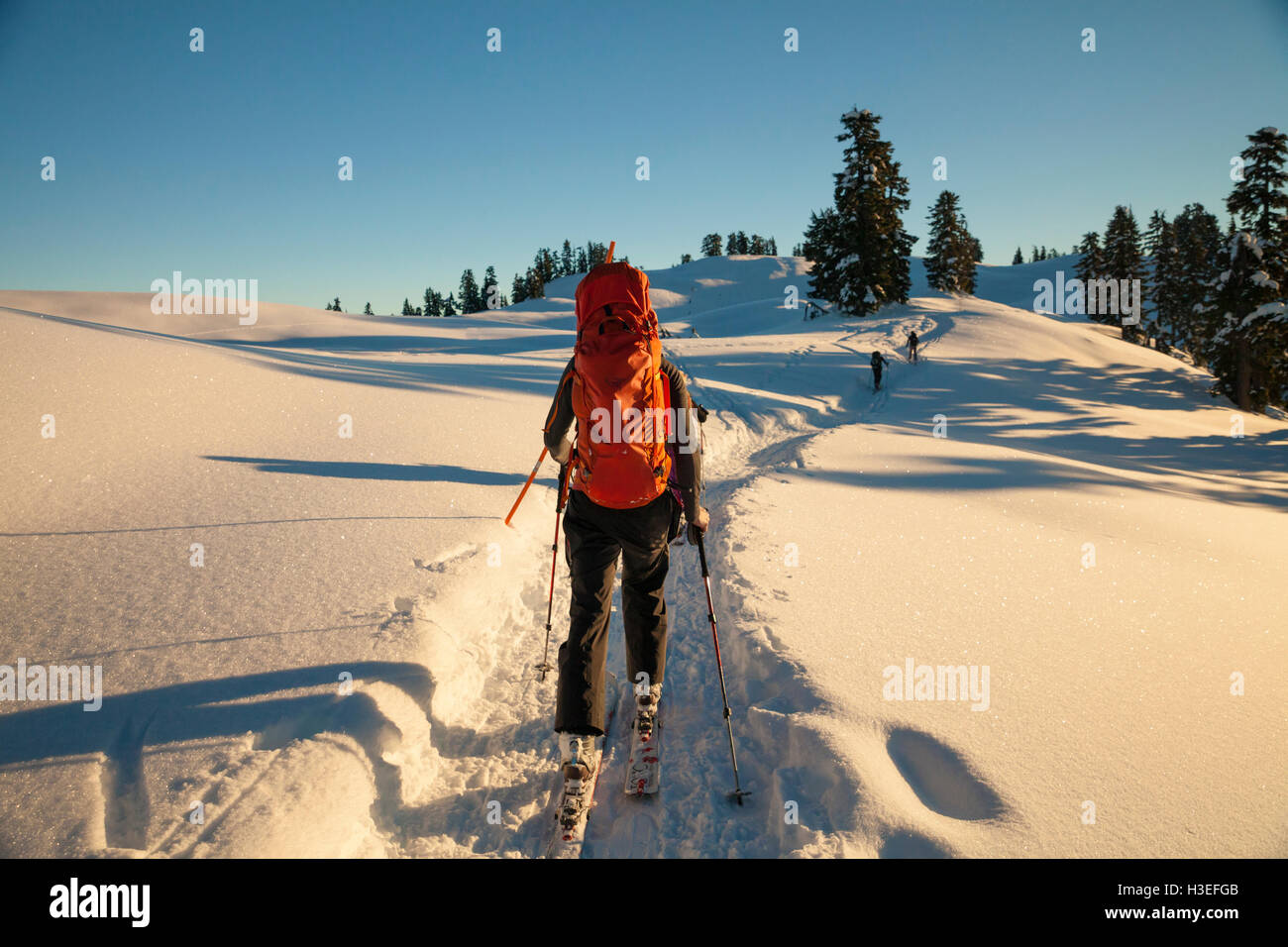 Skitouren im Garibaldi Provincial Park, Britisch-Kolumbien, Kanada. Stockfoto