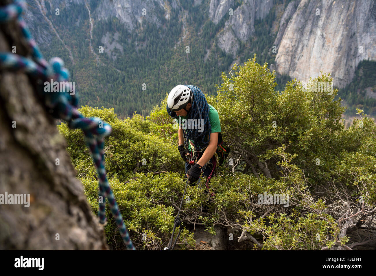 Zwei Männer hangin heraus auf die Oberseite El Capitan, Yosemite-Nationalpark. Stockfoto