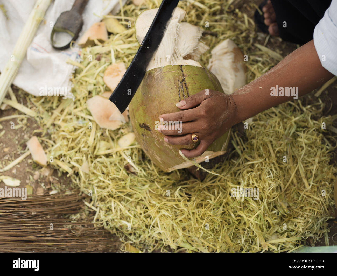 Hacken eine Kokosnuss in den Dörfern von Bagan, Myanmar (Burma) Stockfoto