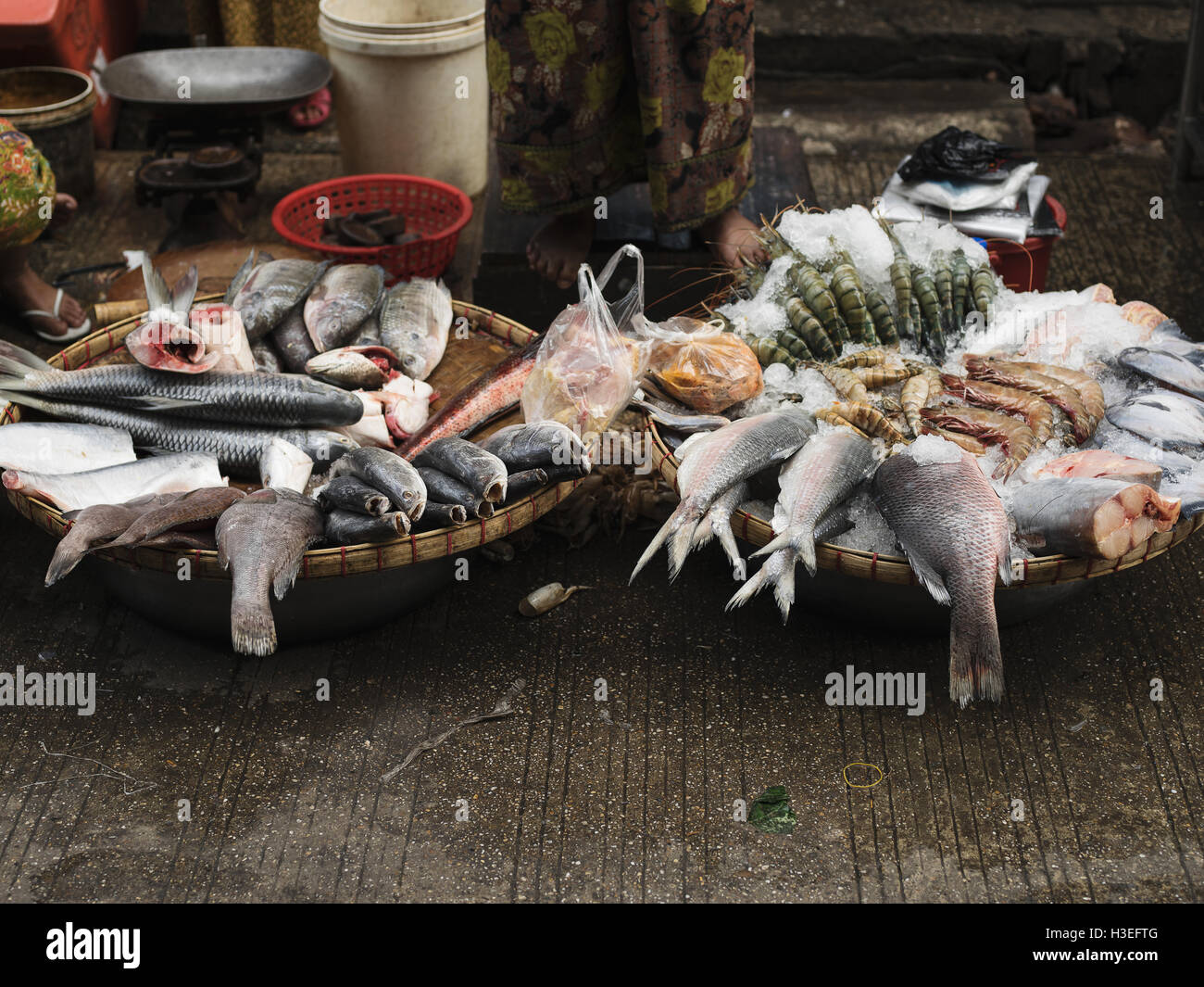Frischen Fänge verkauft auf dem Fischmarkt in Yangon, Myanmar (Burma) Stockfoto