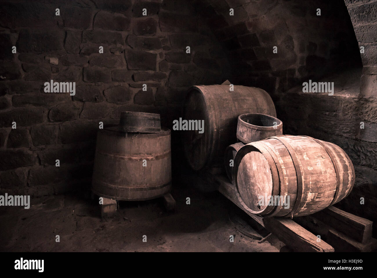 Alter Weinkeller und Holzfässern Stockfoto