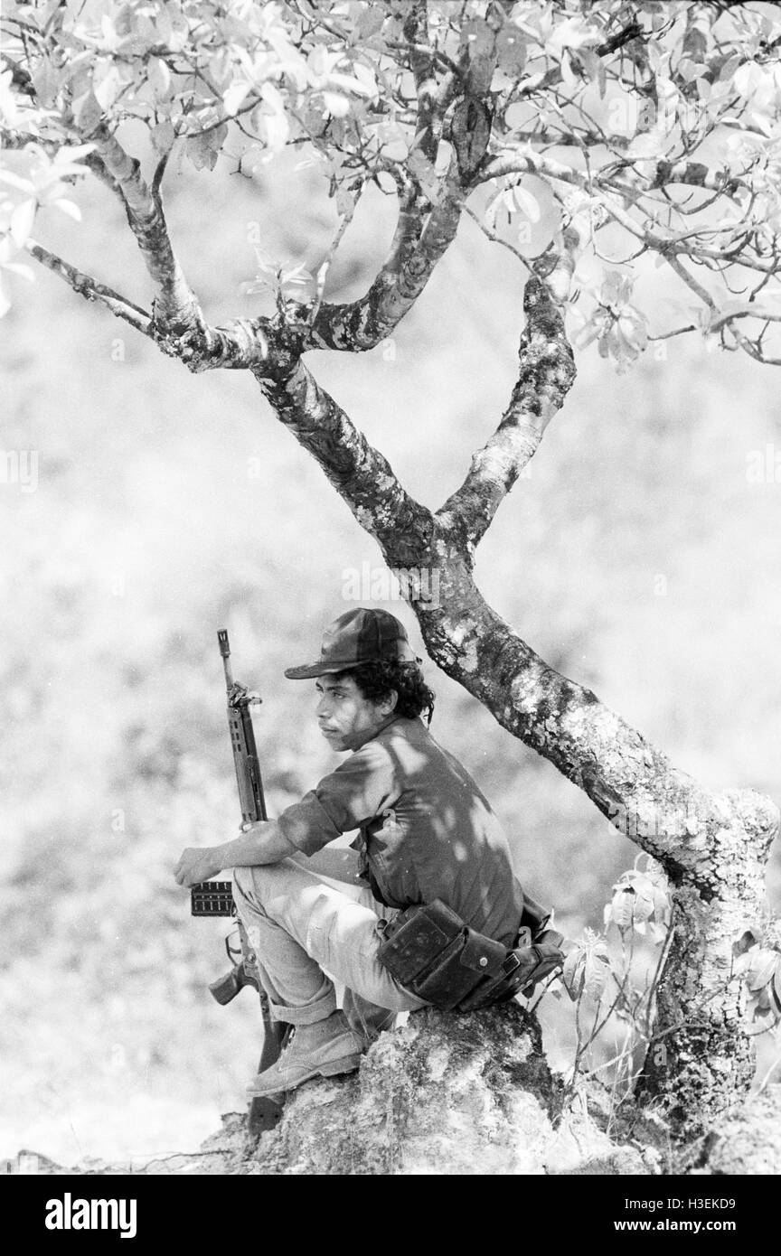 CHALATENANGO, EL SALVADOR, FEB 1984: - innerhalb der FPL Zonen der Steuerung ein FPL Guerillakämpfer auf Wache mit Blick auf die Berge von Chalatenango. Stockfoto