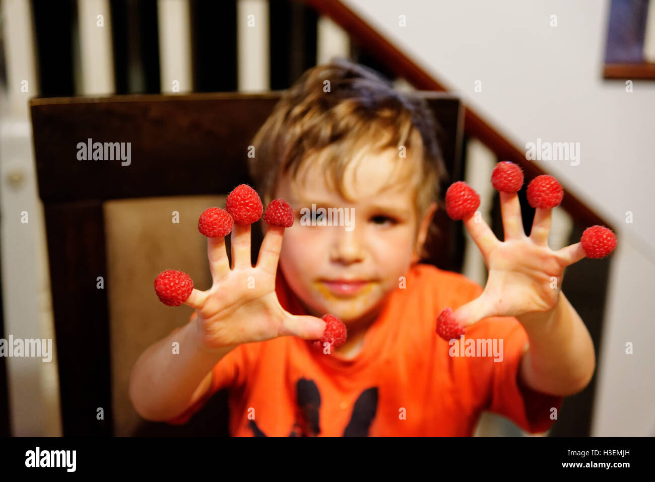 Ein vier Jahre alter Junge mit Himbeeren in den Fingern Stockfoto