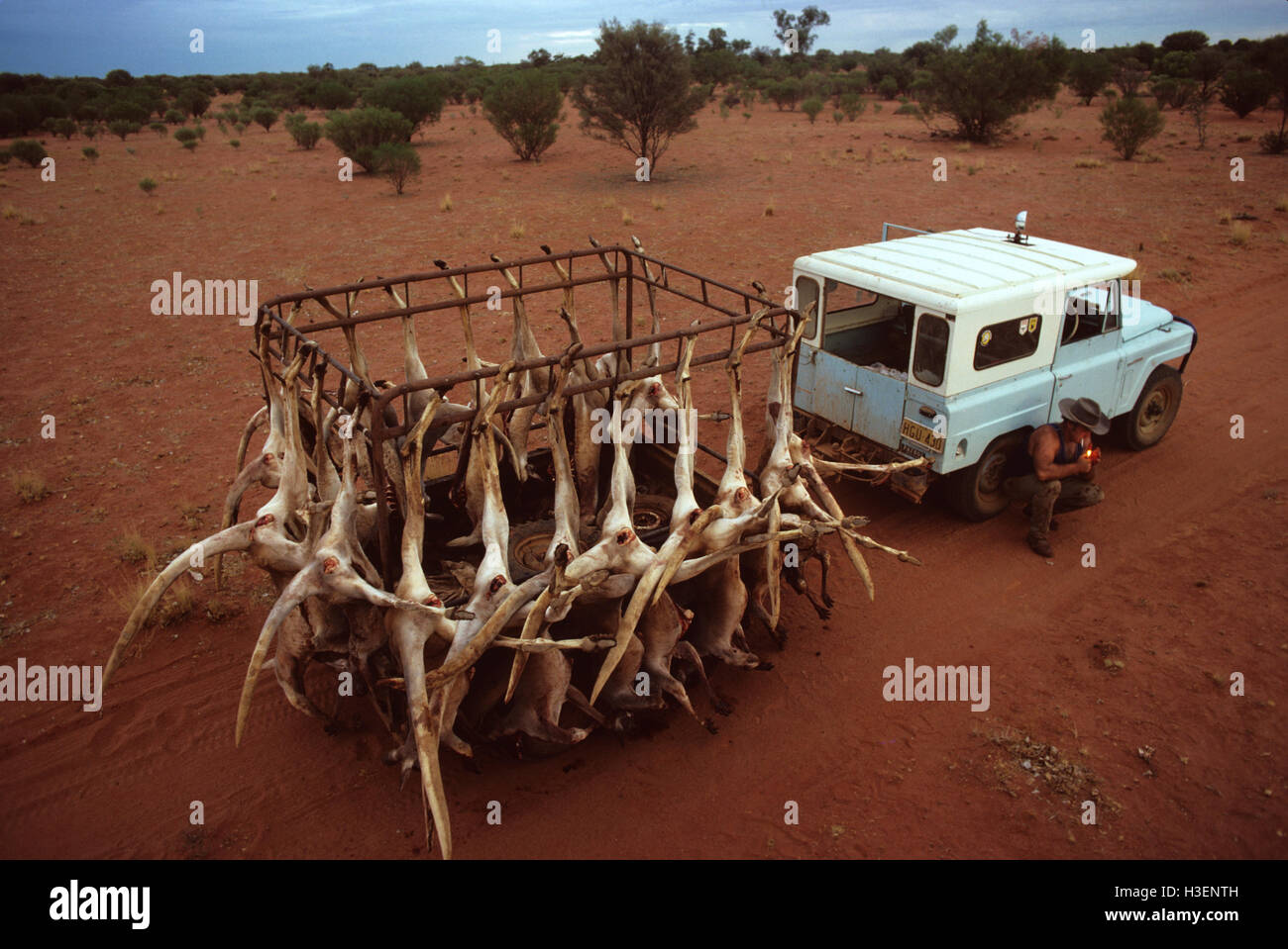 Lizenzierte kangaroo Shooter und der Nacht. Die Jäger sind lizenziert das Känguru Bevölkerung in einer Bemühung, Zahlen unten zu halten zu pflücken. Stockfoto