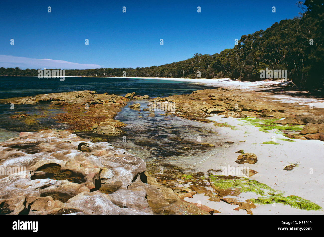 Strand und Felsen Plattform, Jervis Bay, Südküste New South Wales, Australien Stockfoto