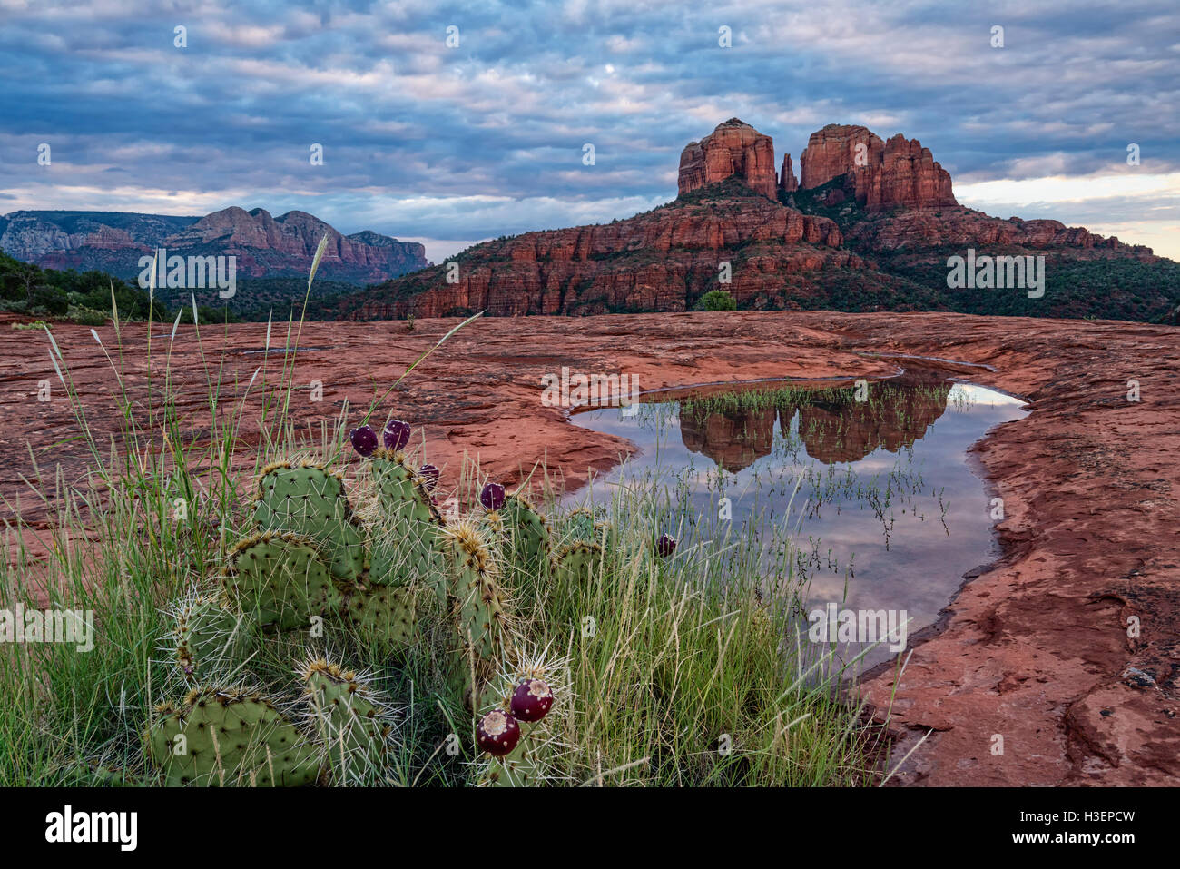 Cathedral Rock widerspiegelt Stockfoto