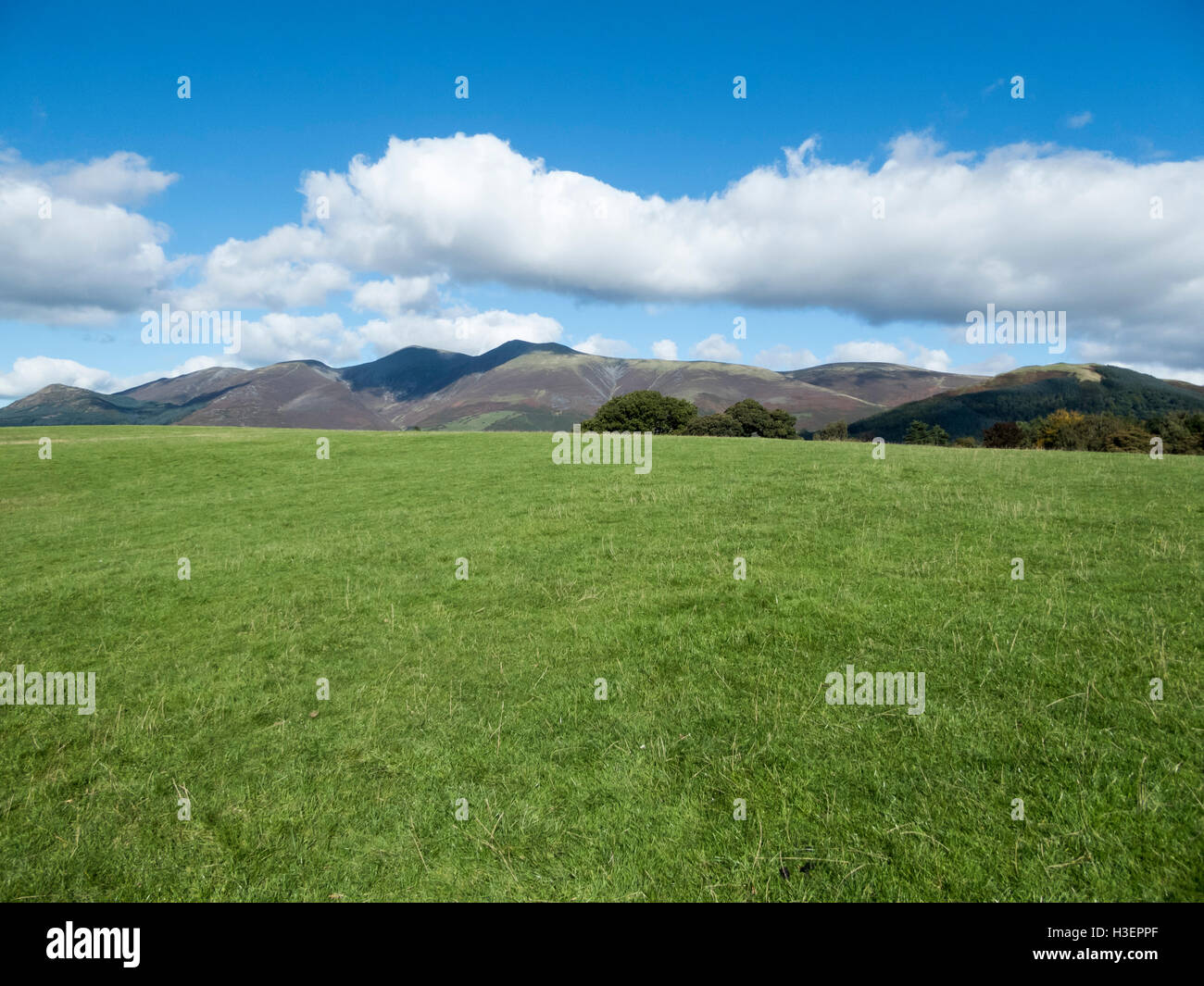 Einen malerischen Blick auf Skiddaw von Keswick im Lake District National Park, Cumbria mit lebhaften blauen Himmel und weiße Wolken Stockfoto