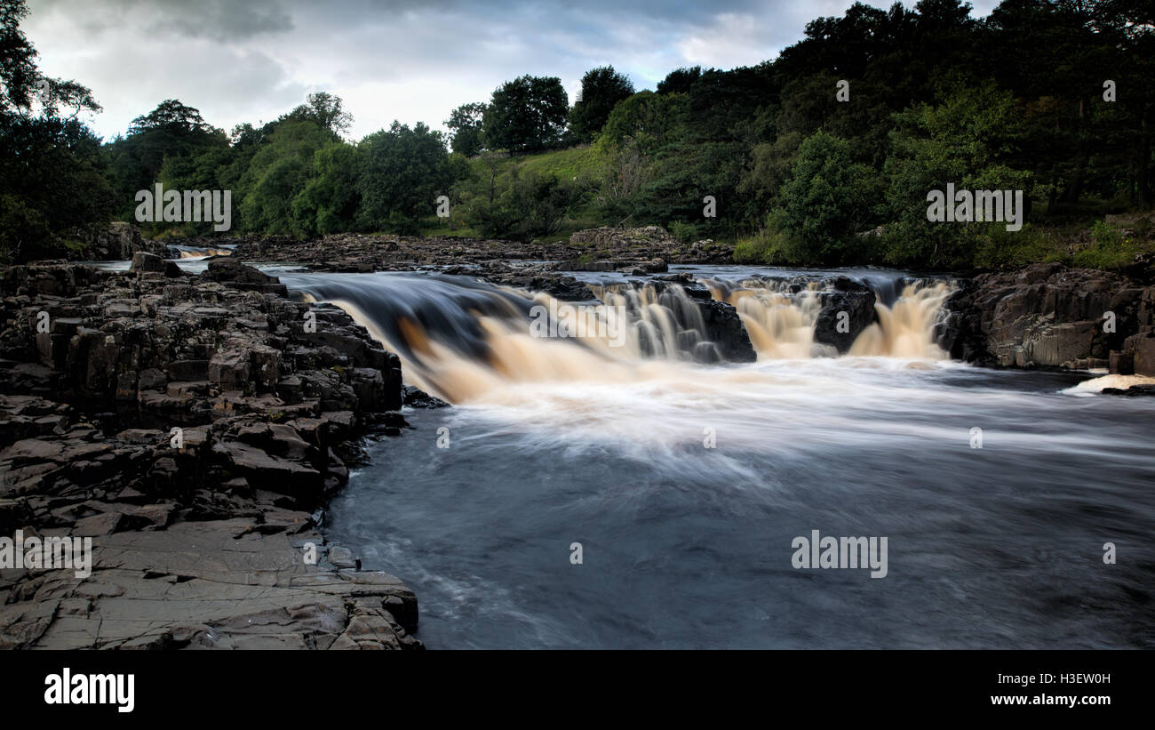 Low Force Wasserfall Yorkshire Dales UK Landschaft Stockfoto