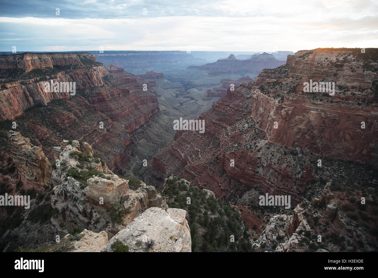 Der Grand Canyon - Arizona Stockfoto
