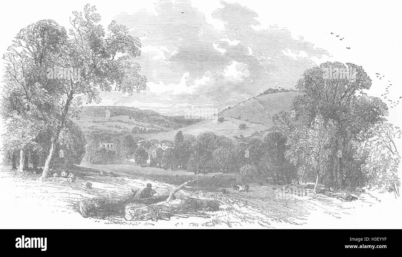 SURREY Guildford-Reigate Rlwy-vom Betchworth Park 1849. Illustrierte London News Stockfoto