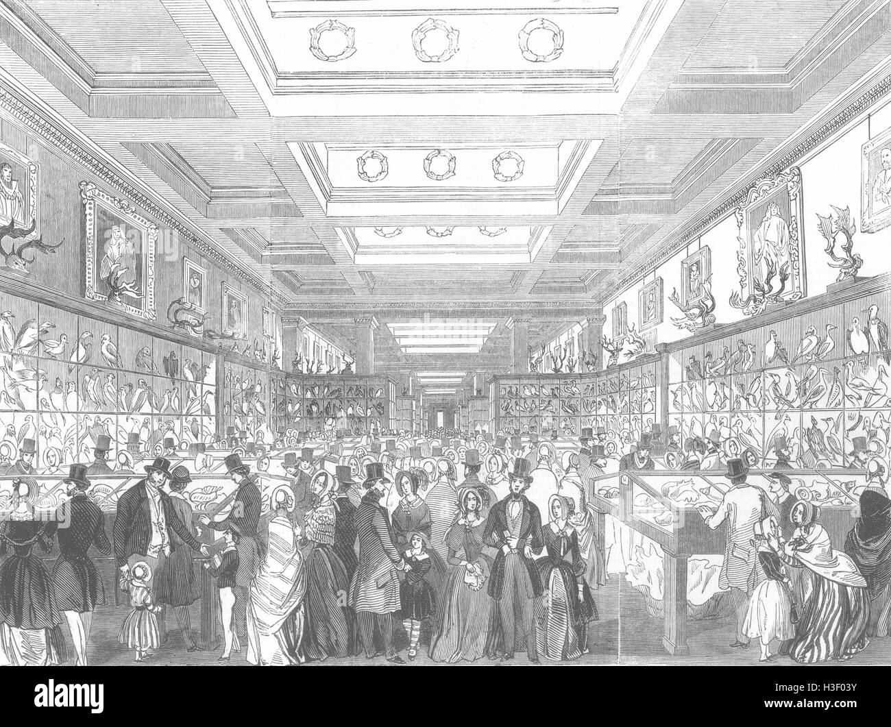 LONDON Ostern-Gt zoologischen Gallery, British Museum 1845. Illustrierte London News Stockfoto