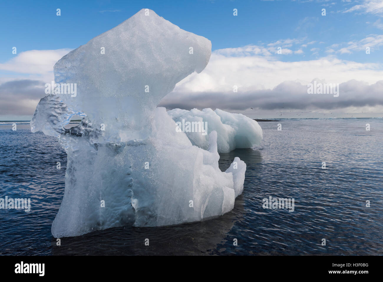 Eisblock am Strand und Artic Seeschwalben in der Nähe Fluss Jökulsá an die Gletscherlagune Jökulsárlón in der Vatnajökull-Nationalpark, Island. Stockfoto